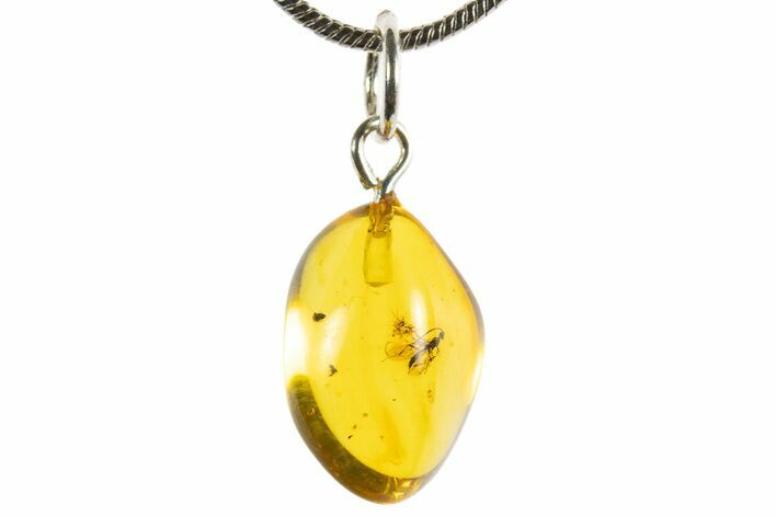 Polished Baltic Amber Pendant (Necklace) - Contains Winged Ant! #339549